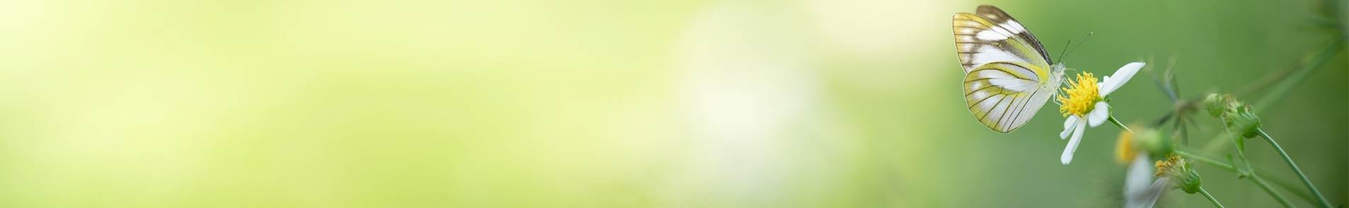 alcohol detox center