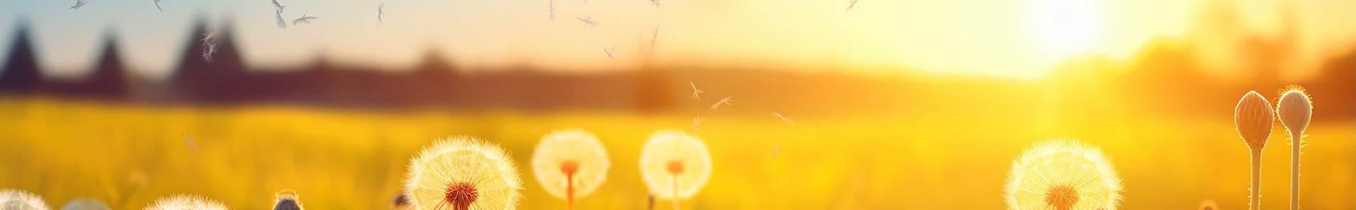 marijuana detox center