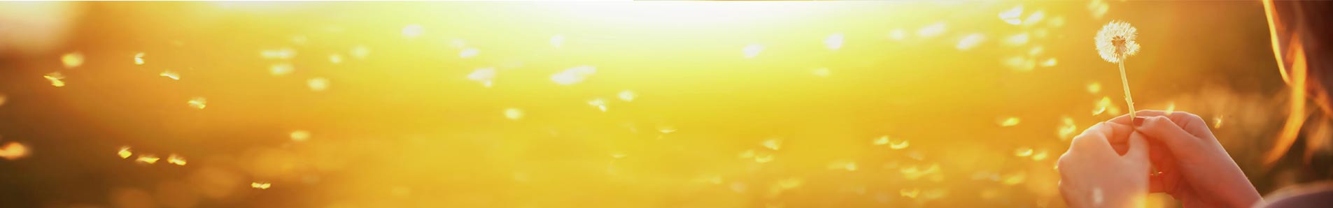 program in los angeles