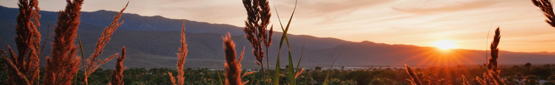 synthetic drug addiction Treatment desktop banner