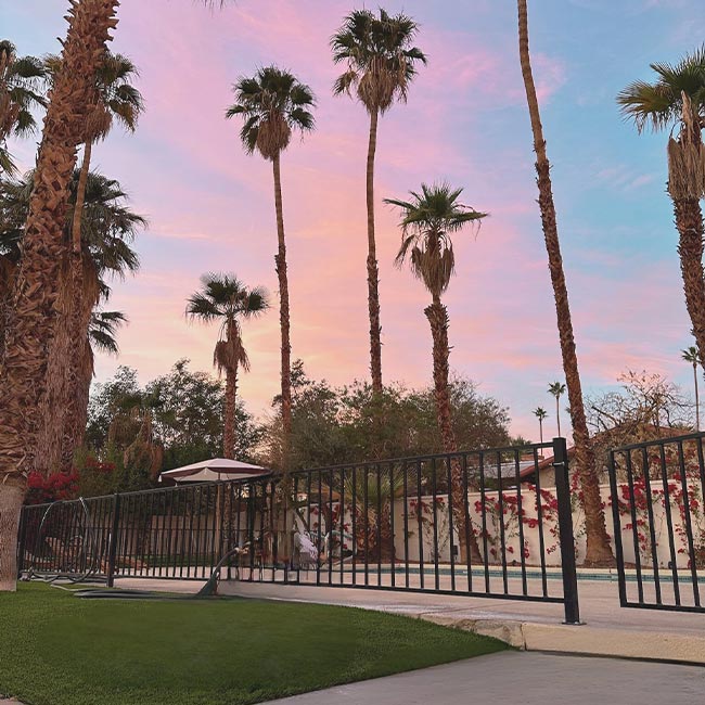 why choose desert willow wellness